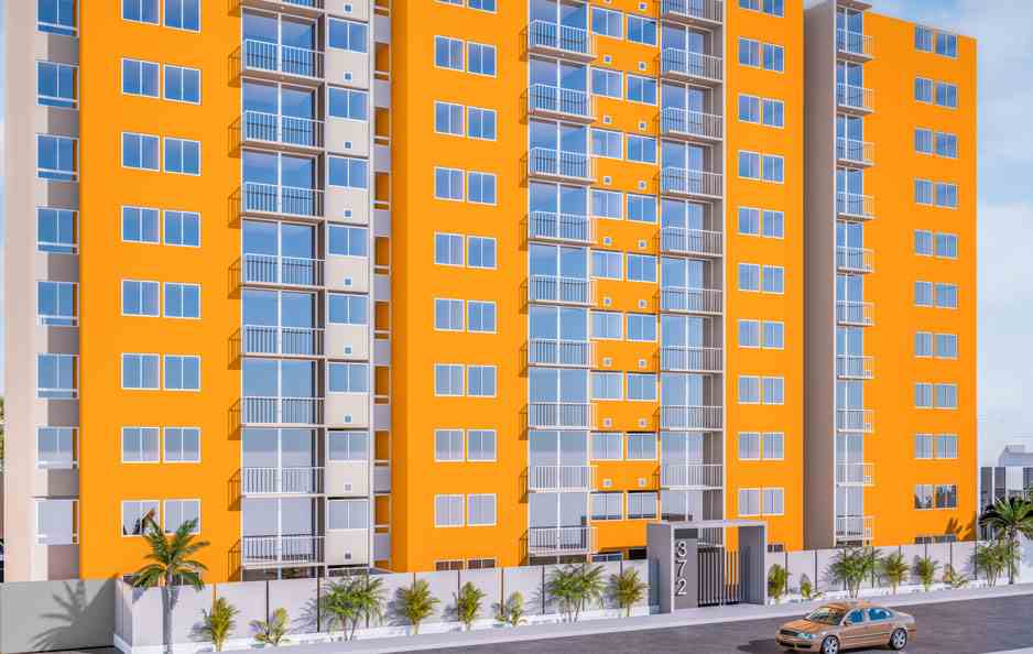 proyecto las palmas2