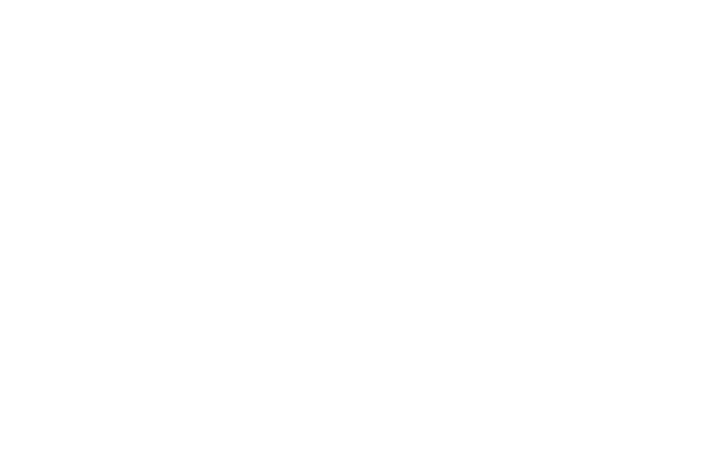 logo nueva independencia v2